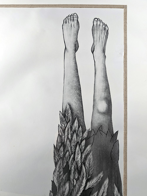 Tuer ton loup à main nue - 28x61cm